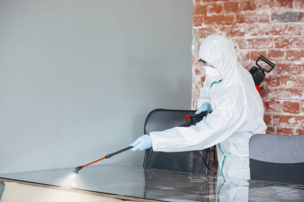 Bellingham, WA Mold Removal Company